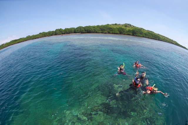 Snorkeling di Pulau Menjangan