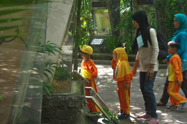 Anak-anak terlihat tertarik dengan binatang di dalam terarium
